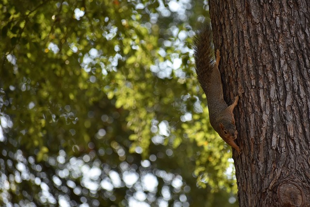 正是提供了 正是提供了