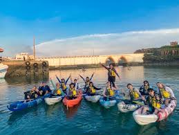 梦桃的成功 梦桃的成功