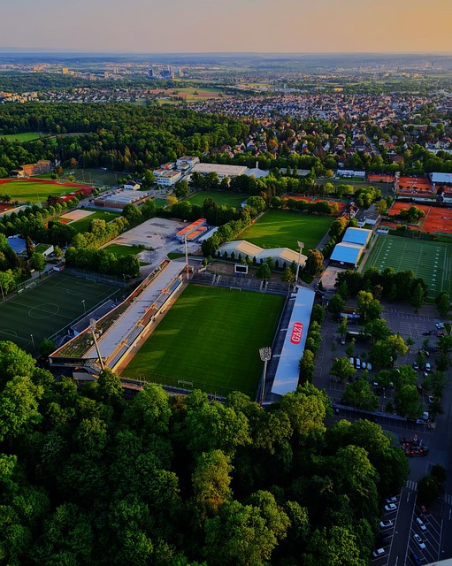 来的展望 来的展望