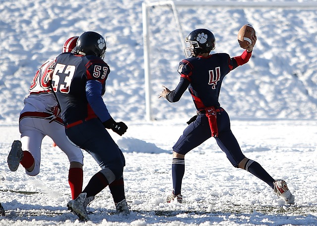 必须具备的 必须具备的