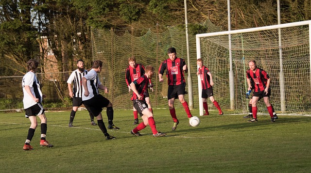 害的长期重 害的长期重